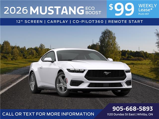 Mustang Ecoboost